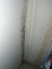 post-1-1080493607.jpg