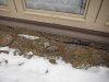 DSCF0873.jpg