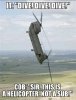 divingchinook.jpg