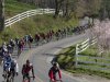bicyclists Brevard.jpg