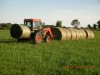 Hauling Hay (Medium).JPG