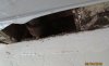 ceiling damage other side of wall.JPG