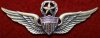 Master-Aviator-Wings.jpg