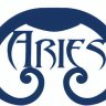 ariescustom