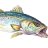 Bluewater65